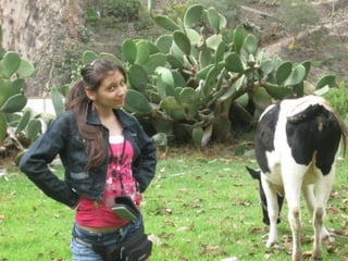 2001     2002   2003                      2004




Diagram
                 www.themegallery.com   Company Logo
 