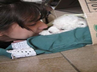 Add Your Text
                                          Add Your Text

  Add Your Text
                               Add Your Text


  Add Your Text
                       Add Your Text

  Add Your Text
                  Add Your Text
Diagram
                           www.themegallery.com   Company Logo
 