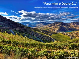 “Para mim o Douro é...”
o Douro nas palavras da comunidade DouroAzul no Facebook




                                        Humberto Santos
 