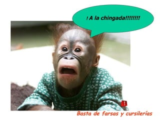 !  A la chingada!!!!!!!! Basta de farsas y cursilerías 