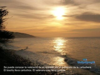 Se puede conocer la veteranía de un soldado por el contenido de la cartuchera.  El bisoño lleva cartuchos. El veterano sólo lleva comida. www. laboutiquedelpowerpoint. com 