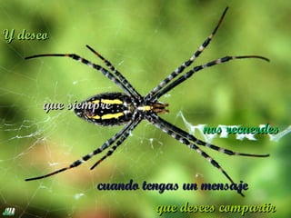 Y deseo



      que siempre
                               nos recuerdes


              cuando tengas un mensaje
                        que desees compartir
 