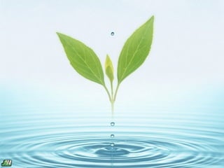 Así

      como nosotr@s



             nos acuerdamos

                      constantemente
                                       de ti
 