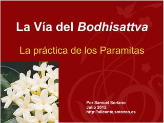 La Vía del Bodhisattva
La práctica de los Paramitas




              Por Samuel Soriano
              Julio 2012
              http://alicante.sotozen.es
 