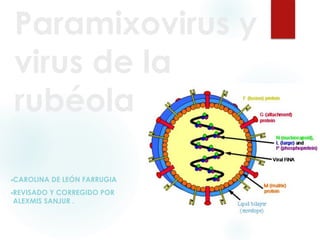Paramixovirus y
virus de la
rubéola
▪CAROLINA DE LEÓN FARRUGIA
▪REVISADO Y CORREGIDO POR
ALEXMIS SANJUR .
 