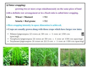 Development of cropping system for watershed areas | PPTX