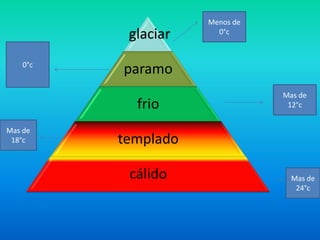 glaciar
paramo
frio
templado
cálido
Menos de
0°c
0°c
Mas de
12°c
Mas de
18°c
Mas de
24°c