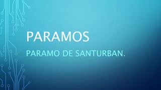 PARAMOS
PARAMO DE SANTURBAN.
 