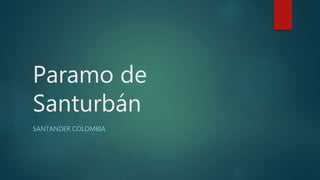 Paramo de
Santurbán
SANTANDER COLOMBIA
 
