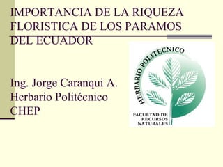 IMPORTANCIA DE LA RIQUEZA
FLORISTICA DE LOS PARAMOS
DEL ECUADOR
Ing. Jorge Caranqui A.
Herbario Politécnico
CHEP

 