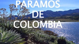 PARAMOS
DE
COLOMBIA
 