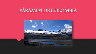 PÁRAMOS DE COLOMBIA
 