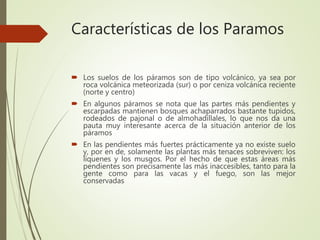 Características de los Paramos
 Los suelos de los páramos son de tipo volcánico, ya sea por
roca volcánica meteorizada (sur) o por ceniza volcánica reciente
(norte y centro)
 En algunos páramos se nota que las partes más pendientes y
escarpadas mantienen bosques achaparrados bastante tupidos,
rodeados de pajonal o de almohadíllales, lo que nos da una
pauta muy interesante acerca de la situación anterior de los
páramos
 En las pendientes más fuertes prácticamente ya no existe suelo
y, por en de, solamente las plantas más tenaces sobreviven: los
líquenes y los musgos. Por el hecho de que estas áreas más
pendientes son precisamente las más inaccesibles, tanto para la
gente como para las vacas y el fuego, son las mejor
conservadas
 