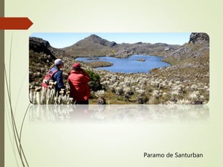 Paramo de Santurban
 