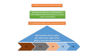 370 513 47 48 196
29 PERFILES DE SUELOS PARA VALIDAR
Observaciones de los suelos
por cada sector, según áreas
piloto y áreas de extrapolación
ESPECIFICACIONES DEL LEVANTAMIENTO
UNA OBSERVACIÓN DETALLADA DEL SUELOS
CADA 70 HECTÁREAS
1172 OBSERVACIONES DETALLADAS DEL SUELO
 