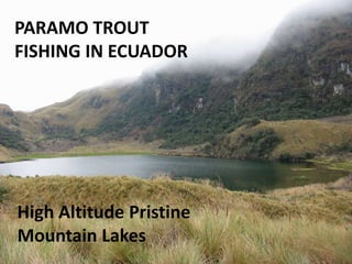 PARAMO TROUT
FISHING IN ECUADOR

High Altitude Pristine
Mountain Lakes

 