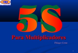 1
Thiago CostaThiago Costa
Para MultiplicadoresPara Multiplicadores
 
