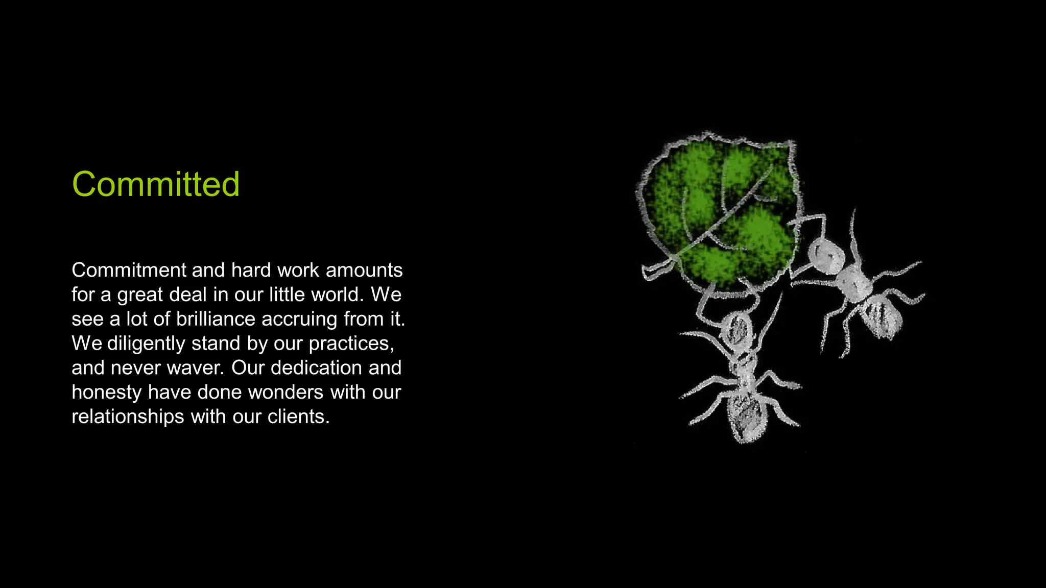Committed

Commitment and hard work amounts
for a great deal in our little world. We
see a lot of brilliance accruing from it.
We diligently stand by our practices,
and never waver. Our dedication and
honesty have done wonders with our
relationships with our clients.
 