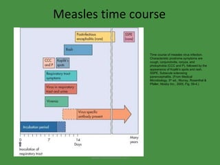 Measles time course Time course of measles virus infection. Characteristic prodrome symptoms are cough, conjunctivitis, coryza, and photophobia (CCC and P), followed by the appearance of Koplik's spots and rash. SSPE, Subacute sclerosing panencephalitis. (From Medical Microbiology, 5 th  ed., Murray, Rosenthal & Pfaller, Mosby Inc., 2005, Fig. 59-4.) www.freelivedoctor.com 