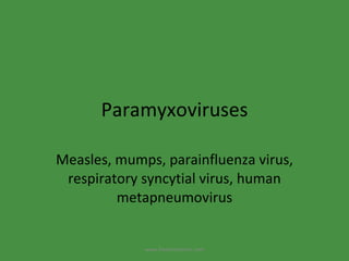 Paramyxoviruses Measles, mumps, parainfluenza virus, respiratory syncytial virus, human metapneumovirus www.freelivedoctor.com 