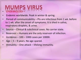 • EPIDEMIOLOGY –
• Endemic worldwide. Peak in winter & spring.
• Period of communicability – Pts are infectious from 1 wk. before
to 1 wk. after the onset of symptoms. It is shed in saliva,
respiratory droplets, & urine.
• Source – Clinical & subclinical cases. No carrier state.
• Reservoir – Humans are the only reservoir of infection.
• Incidence – 100 – 1000 cases per 10000.
• Age – 5 – 9 years. No age spared.
• Immunity – One attack – lifelong immunity.
 