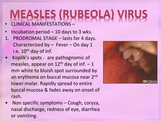• CLINICAL MANIFESTATIONS –
• Incubation period – 10 days to 3 wks.
1. PRODROMAL STAGE – lasts for 4 days.
Characterized by – Fever – On day 1
i.e. 10th day of inf.
• Koplik’s spots - are pathognomic of
measles, appear on 12th day of inf. – 1
mm white to bluish spot surrounded by
an erythema on buccal mucosa near 2nd
lower molar. Rapidly spread to entire
buccal mucosa & fades away on onset of
rash.
• Non specific symptoms – Cough, coryza,
nasal discharge, redness of eye, diarrhea
or vomiting.
 