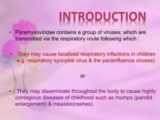 • Paramyxoviridae contains a group of viruses; which are
transmitted via the respiratory route following which :
• They may cause localized respiratory infections in children
e.g. respiratory syncytial virus & the parainfluenza viruses)
or
• They may disseminate throughout the body to cause highly
contagious diseases of childhood such as mumps (parotid
enlargement) & measles(rashes).
 