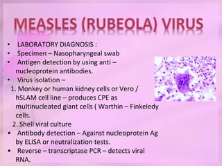 • LABORATORY DIAGNOSIS :
• Specimen – Nasopharyngeal swab
• Antigen detection by using anti –
nucleoprotein antibodies.
• Virus isolation –
1. Monkey or human kidney cells or Vero /
hSLAM cell line – produces CPE as
multinucleated giant cells ( Warthin – Finkeledy
cells.
2. Shell viral culture
• Antibody detection – Against nucleoprotein Ag
by ELISA or neutralization tests.
• Reverse – transcriptase PCR – detects viral
RNA.
 
