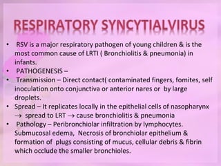 • RSV is a major respiratory pathogen of young children & is the
most common cause of LRTI ( Bronchiolitis & pneumonia) in
infants.
• PATHOGENESIS –
• Transmission – Direct contact( contaminated fingers, fomites, self
inoculation onto conjunctiva or anterior nares or by large
droplets.
• Spread – It replicates locally in the epithelial cells of nasopharynx
 spread to LRT  cause bronchiolitis & pneumonia
• Pathology – Peribronchiolar infiltration by lymphocytes.
Submucosal edema, Necrosis of bronchiolar epithelium &
formation of plugs consisting of mucus, cellular debris & fibrin
which occlude the smaller bronchioles.
 