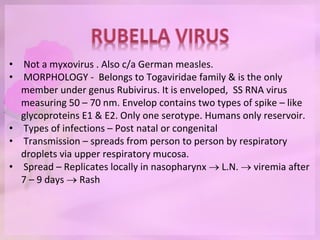 • Not a myxovirus . Also c/a German measles.
• MORPHOLOGY - Belongs to Togaviridae family & is the only
member under genus Rubivirus. It is enveloped, SS RNA virus
measuring 50 – 70 nm. Envelop contains two types of spike – like
glycoproteins E1 & E2. Only one serotype. Humans only reservoir.
• Types of infections – Post natal or congenital
• Transmission – spreads from person to person by respiratory
droplets via upper respiratory mucosa.
• Spread – Replicates locally in nasopharynx  L.N.  viremia after
7 – 9 days  Rash
 