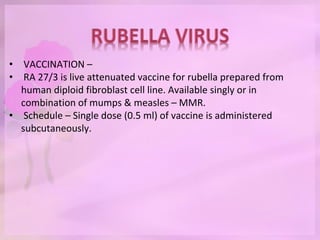 • VACCINATION –
• RA 27/3 is live attenuated vaccine for rubella prepared from
human diploid fibroblast cell line. Available singly or in
combination of mumps & measles – MMR.
• Schedule – Single dose (0.5 ml) of vaccine is administered
subcutaneously.
 