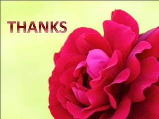 Paramyxoviruses lecture dwd