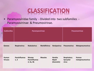 • Paramyxoviridae family - Divided into two subfamilies -
Paramyxovirinae & Pneumovirinae.
Subfamilies Paramyxovirinae Pneumovirinae
Genera Respirovirus Rubulavirus Morbillivirus Henipavirus Pneumovirus Metapneumovirus
Human
Viruses
Parainfluenza
1, 3
Mumps
Parainfluenza
2, 4a, 4b
Measles Hendra
Nipah
(Zoonotic)
Respiratory
Syncytial
virus
Human
metapneumovirus
 