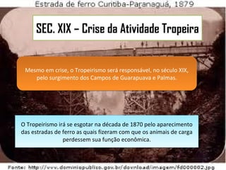 Mesmo em crise, o Tropeirismo será responsável, no século XIX, pelo surgimento dos Campos de Guarapuava e Palmas. O Tropeirismo irá se esgotar na década de 1870 pelo aparecimento das estradas de ferro as quais fizeram com que os animais de carga perdessem sua função econômica. SEC. XIX – Crise da Atividade Tropeira  