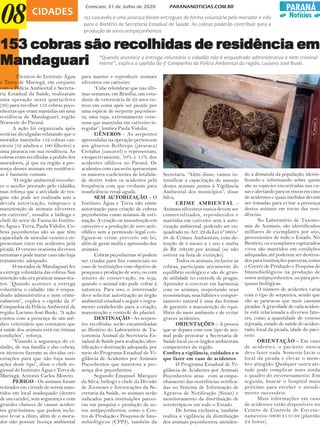 PARANÁ
Notícias
Comcam, 31 de Julho de 2020 PARANANOTICIAS.COM.BR
CIDADES
08
153 cobr153 cobr153 cobr153 cobr153 cobras são ras são ras são ras são ras são recolhidas de recolhidas de recolhidas de recolhidas de recolhidas de residência emesidência emesidência emesidência emesidência em
MandaMandaMandaMandaMandaguariguariguariguariguari
152 cascavéis e uma jararaca foram entregues de forma voluntária pelo morador e irão
para o Biotério da Secretaria Estadual de Saúde. As cobras poderão contribuir para a
produção de soros antipeçonhentos
Técnicos do Instituto Água
e Terra de Maringá, em conjunto
com a Polícia Ambiental e Secreta-
ria Estadual da Saúde, realizaram
uma operação nesta quarta-feira
(29) para recolher 153 cobras peço-
nhentas que eram mantidas em uma
residência de Mandaguari, região
Noroeste do Paraná.
A ação foi organizada após
notícias divulgadas relatando que o
morador mantinha 152 cobras cas-
cáveis (52 adultos e 100 filhotes) e
uma jararaca em sua residência. As
cobras eram recolhidas a pedido dos
moradores, já que na região a pre-
sença desses animais em residênci-
as é bastante comum.
“O órgão ambiental reconhe-
ce o auxílio prestado pelo cidadão,
mas reforça que a atividade de res-
gate não pode ser realizada sem a
devida autorização, tampouco a
manutenção de animais silvestres
em cativeiro”, ressalta a bióloga e
chefe do setor de Fauna do Institu-
to Água e Terra, Paula Vidolin. Co-
bras peçonhentas são as que têm
capacidade de inocular veneno e re-
presentam risco em acidentes pela
picada. O veneno ocasiona diversos
sintomas e pode matar caso não haja
tratamento adequado.
O morador de Mandaguari fez
a entrega voluntária das cobras. Sua
intenção não era praticar maus-tra-
tos. “Quando acontece a entrega
voluntária o cidadão não é enqua-
drado administrativa e nem crimi-
nalmente”, explica o capitão da 3ª
Companhia da Polícia Ambiental da
região, Luciano José Buski. “A ação
contou com a presença de um mé-
dico veterinário que constatou que
a saúde dos animais está em ótimas
condições”, reforça.
“Visando a segurança do ci-
dadão, de sua família e das cobras,
os técnicos fizeram as devidas ori-
entações para que não haja mais
ações deste tipo”, disse o chefe re-
gional do Instituto Água e Terra de
Maringá, Antonio Carlos Moreto.
PERIGO - Os animais foram
retirados em virtude de serem man-
tidos em local inadequado (dentro
de um caixão), sem segurança e com
grandes chances de causar aciden-
tes gravíssimos, que podem inclu-
sive levar a óbito, além de o mora-
dor não possuir licença ambiental
para manter e reproduzir animais
silvestres em cativeiro.
“Cabe relembrar que nas últi-
mas semanas, em Brasília, um estu-
dante de veterinária de 22 anos en-
trou em coma após ser picado por
uma espécie de serpente peçonhen-
ta, uma naja, extremamente vene-
nosa que mantinha em cativeiro ir-
regular”, lembra Paula Vidolin.
GÊNEROS - As serpentes
apreendidas na operação pertencem
aos gêneros Bothrops (jararaca)
Crotalus (cascavel) e representam,
r4espectivamente, 70% e 11% dos
acidentes ofídicos no Paraná. Os
acidentes com cascavéis apresentam
os maiores coeficientes de letalida-
de dentre todos os acidentes pela
frequência com que evoluem para
insuficiência renal aguda.
SEM AUTORIZAÇÃO - O
Instituto Água e Terra não emite
autorização para criação de cobras
peçonhentas como animais de esti-
mação. A criação ou manutenção em
cativeiro e a produção de soro anti-
ofídico sem a permissão legal con-
figura-se crime previsto em lei,
além de gerar multa e apreensão dos
animais.
Cobras peçonhentas só podem
ser criadas para fins comerciais no
caso de instituições com objetivo de
pesquisa e produção de soro, ou com
intuito de conservação, ou seja,
quando o animal não pode voltar à
natureza. Para isso, o interessado
deve solicitar autorização ao órgão
ambiental estadual e seguir o regra-
mento estabelecido para a criação,
manutenção e controle do plantel.
DESTINAÇÃO - As serpen-
tes recolhidas serão encaminhadas
ao Biotério do Laboratório de Ta-
xonomia Animal da Secretaria Es-
tadual de Saúde para avaliação, iden-
tificação e destinação adequada, por
meio do Programa Estadual de Vi-
gilância de Acidentes por Animais
Peçonhentos que monitora a pre-
sença dos peçonhentos.
Segundo Emanuel Marques
da Silva, biólogo e chefe da Divisão
de Zoonoses e Intoxicações da Se-
cretaria da Saúde, os animais serão
indicados para instituições parcei-
ras em pesquisa e produção de so-
ros antipeçonhentos, como o Cen-
tro de Produção e Pesquisa de Imu-
nobiológicos (CPPI), também da
Secretaria. “Além disso, vamos in-
tensificar a capacitação do manejo
destes animais juntos à Vigilância
Ambiental dos municípios”, disse
Silva.
CRIME AMBIENTAL -
Animais silvestres nunca devem ser
comercializados, reproduzidos e
mantidas em cativeiro sem a auto-
rização ambiental, podendo ser en-
quadrado no Art. 29 da Lei nº 9605/
98 de Crimes Ambientais, com de-
tenção de 6 meses a 1 ano e multa
de R$ 500,00 por animal (se não
estiver na lista de extinção).
Todos os animais, inclusive as
cobras, participam ativamente do
equilíbrio ecológico e são de gran-
de utilidade no controle de pragas.
Aprender a conviver em harmonia
com os animais, respeitando seus
ecossistemas, seus hábitos e compor-
tamento natural é uma das formas
de garantir a manutenção do equi-
líbrio do meio ambiente e de evitar
graves acidentes.
ORIENTAÇÕES – A pessoa
que se depara com esse tipo de ani-
mal pode procurar a Secretaria de
Saúde local ou os órgãos ambientais
competentes da região.
Confira a vigilância, cuidados e o
que fazer em caso de acidentes
O Programa Estadual de Vi-
gilância de Acidentes por Animais
Peçonhentos atua com acompa-
nhamento das ocorrências notifica-
das no Sistema de Informação de
Agravos de Notificação (Sinan) e
monitoramento da distribuição de
soroterápicos em todo o Estado.
De forma exclusiva, também
realiza a vigilância da distribuição
dos animais peçonhentos, atenden-
do a demanda da população, identi-
ficando e informando sobre quem
são as espécies encontradas nas ca-
sas e alertando para os riscos em caso
de acidentes e quais medidas devem
ser tomadas para evitar a presença
destes animais em torno das resi-
dências.
No Laboratório de Taxono-
mia de Animais, são identificados
milhares de exemplares por ano,
provenientes de todo o Estado. No
Biotério, os exemplares capturados
vivos são mantidos em condições
adequadas, até poderem ser destina-
dos para instituições parceiras, como
o Centro de Produção e Pesquisa de
Imunobiológicos na produção de
soros antipeçonhentos, ou para pes-
quisas biológicas.
O número de acidentes varia
com o tipo de serpentes, sendo que
são as jararacas que mais causam
picadas. A gravidade de cada aciden-
te está relacionada a diversos fato-
res, como a quantidade de veneno
injetada, estado de saúde do aciden-
tado, local da picada, idade do paci-
ente.
ORIENTAÇÃO - Em caso
de acidentes, o paciente nunca
deve fazer nada. Somente lavar o
local da picada e elevar o mem-
bro atingido. Qualquer outra ati-
tude pode complicar mais ainda
o quadro do envenenamento. Em
seguida, buscar o hospital mais
próximo para receber o atendi-
mento necessário.
Mais informações em caso
de acidentes estão disponíveis no
Centro de Controle de Envene-
namentos: 0800 41 0148 (plantão
24 horas).
“Quando acontece a entrega voluntária o cidadão não é enquadrado administrativa e nem criminal-
mente”, explica o capitão da 3ª Companhia da Polícia Ambiental da região, Luciano José Buski.
 