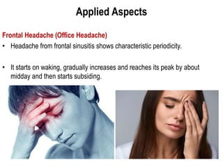 Applied Aspects
Frontal Headache (Office Headache)
• Headache from frontal sinusitis shows characteristic periodicity.
• It starts on waking, gradually increases and reaches its peak by about
midday and then starts subsiding.
 