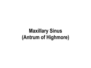 Maxillary Sinus
(Antrum of Highmore)
 