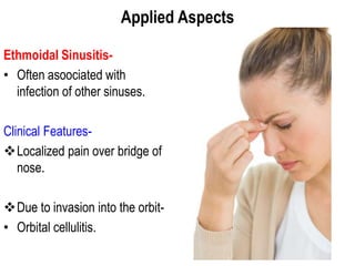 Applied Aspects
Ethmoidal Sinusitis-
• Often asoociated with
infection of other sinuses.
Clinical Features-
Localized pain over bridge of
nose.
Due to invasion into the orbit-
• Orbital cellulitis.
 