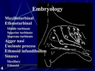 Paranasal sinus-2002-01-slides | PDF