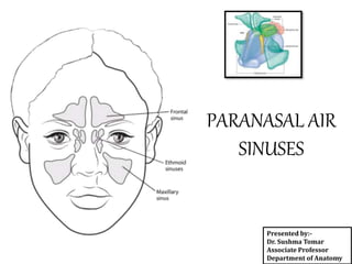 PARANASAL AIR
SINUSES
Presented by:-
Dr. Sushma Tomar
Associate Professor
Department of Anatomy
 