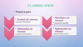 Paranasal Air Sinuses present in human skull | PPTX