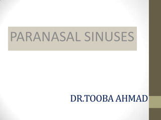 DR.TOOBA AHMAD
PARANASAL SINUSES
 