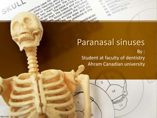 Paranasal sinuses
By :
Student at faculty of dentistry
Ahram Canadian university
 