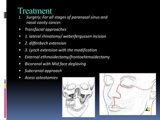 Nasal Rhinotomy Paranasalsinuses | PDF