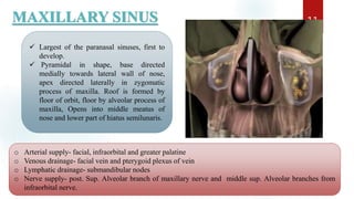 MAXILLARY SINUS 11
 Largest of the paranasal sinuses, first to
develop.
 Pyramidal in shape, base directed
medially towards lateral wall of nose,
apex directed laterally in zygomatic
process of maxilla. Roof is formed by
floor of orbit, floor by alveolar process of
maxilla, Opens into middle meatus of
nose and lower part of hiatus semilunaris.
o Arterial supply- facial, infraorbital and greater palatine
o Venous drainage- facial vein and pterygoid plexus of vein
o Lymphatic drainage- submandibular nodes
o Nerve supply- post. Sup. Alveolar branch of maxillary nerve and middle sup. Alveolar branches from
infraorbital nerve.
 