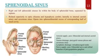 SPHENOIDAL SINUS
 Right and left sphenoidal sinuses lie within the body of sphenoidal bone, separated by
septum.
 Related superiorly to optic chiasma and hypophysis cerebri; laterally to internal carotid
artery and cavernous sinus. Opens into sphenoethmoidal recess of corresponding half of
nasal cavity.
13
Arterial supply- post. Ethmoidal and internal carotid
artery.
Venous drainage- pterygoid venous plexus and
cavernous sinus
Lymphatic drainage- retropharyngeal nodes
Nerve supply- post. Ethmoidal nerve and orbital
branches of pterygopalatine ganglion.
 