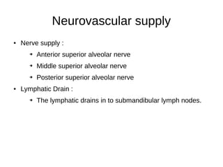 Neurovascular supply
● Nerve supply :
➔ Anterior superior alveolar nerve
➔ Middle superior alveolar nerve
➔ Posterior superior alveolar nerve
● Lymphatic Drain :
➔ The lymphatic drains in to submandibular lymph nodes.
 