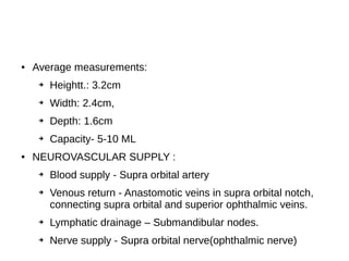 ● Average measurements:
➔ Heightt.: 3.2cm
➔ Width: 2.4cm,
➔ Depth: 1.6cm
➔ Capacity- 5-10 ML
● NEUROVASCULAR SUPPLY :
➔ Blood supply - Supra orbital artery
➔ Venous return - Anastomotic veins in supra orbital notch,
connecting supra orbital and superior ophthalmic veins.
➔ Lymphatic drainage – Submandibular nodes.
➔ Nerve supply - Supra orbital nerve(ophthalmic nerve)
 