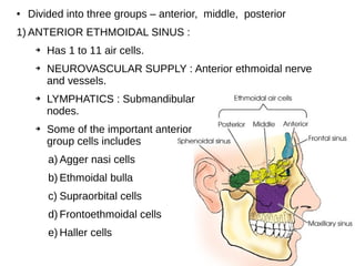 ● Divided into three groups – anterior, middle, posterior
1) ANTERIOR ETHMOIDAL SINUS :
➔ Has 1 to 11 air cells.
➔ NEUROVASCULAR SUPPLY : Anterior ethmoidal nerve
and vessels.
➔ LYMPHATICS : Submandibular
nodes.
➔ Some of the important anterior
group cells includes
a) Agger nasi cells
b) Ethmoidal bulla
c) Supraorbital cells
d) Frontoethmoidal cells
e) Haller cells
 