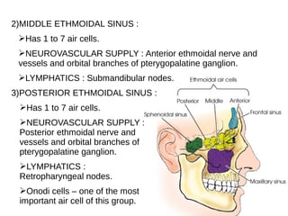 2)MIDDLE ETHMOIDAL SINUS :
➢Has 1 to 7 air cells.
➢NEUROVASCULAR SUPPLY : Anterior ethmoidal nerve and
vessels and orbital branches of pterygopalatine ganglion.
➢LYMPHATICS : Submandibular nodes.
3)POSTERIOR ETHMOIDAL SINUS :
➢Has 1 to 7 air cells.
➢NEUROVASCULAR SUPPLY :
Posterior ethmoidal nerve and
vessels and orbital branches of
pterygopalatine ganglion.
➢LYMPHATICS :
Retropharyngeal nodes.
➢Onodi cells – one of the most
important air cell of this group.
 